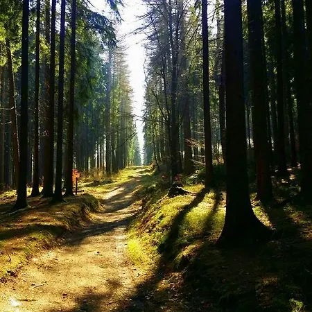 Гостевой дом Gaststaette Waldhof Bornichen