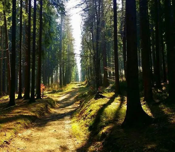 Casa de hóspedes Gaststaette Waldhof Bornichen